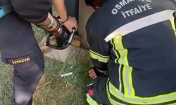 Konteyner ile duvar arasına sıkışan yavru kedi kurtarıldı