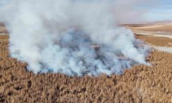Konya’da sazlık alanda yangını