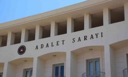 Köpekleri tüfekle vuran şahıs tutuklandı