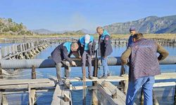 Köyceğiz Gölü, Dalyan ve İztuzu’nda denetim