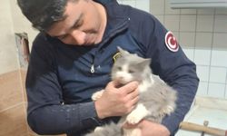 Malatya’da havalandırma boşluğuna düşen kedi kurtarıldı