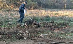 Mantar toplamak için gittiği ormanlık alanda kaybolan adamı 96 kişilik ekip arıyor