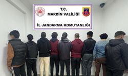 Mardin’de 9 düzensiz göçmen yakalandı