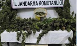 Mardin’de uyuşturucu operasyonunda 3 tutuklama