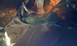 Muş’ta hafif ticari araç ata çarptı: 2 yaralı