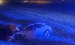 Muş’ta otomobil yola çıkan ineğe çarptı