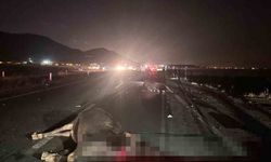 Muş’ta yola çıkan inekler kazaya neden oldu: 1 yaralı