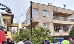 Ocakta unutulan yemekten çıkan yangında 2 kedi telef oldu