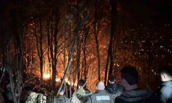 Ordu’da ormanlık alanda yangın