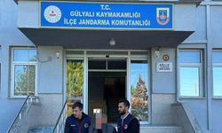 Ordu’da suçlular jandarmadan kaçamadı: 1 ayda 64 tutuklama