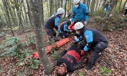 Orman yangını ve yaralılara hızlı müdahale