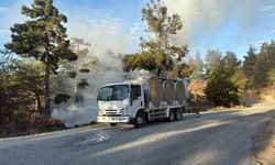 Orman yangınında alevlere sütle müdahale etti