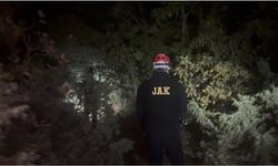 Bursa'da ormanda kaybolan şahıs sağ olarak bulundu