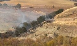 Ormanlık alanda korkutan yangın