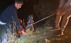 Osmaniye’de kontrolü kaybeden motosiklet sürücüsü uçuruma yuvarlandı