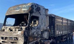 Osmaniye’de tırda çıkan yangın söndürüldü