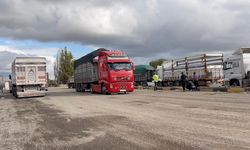 Pancar yüklü tır polis ekiplerinin ’Dur’ ihtarına uymadı