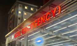 Rize’de 94 kişi mevlitte dağıtılan tavuktan zehirlendi