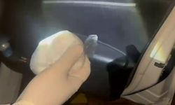 Sakarya’da zehir tacirlerine operasyon: 4 baskında 7 gözaltı