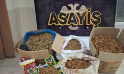 Samandağ’da kaçak tütün operasyonu