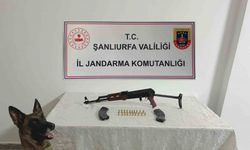 Şanlıurfa’da ruhsatsız silah operasyonu