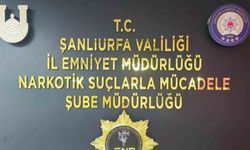 Şanlıurfa’da uyuşturucu operasyonu: 1 tutuklama