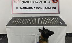 Şanlıurfa’da uyuşturucu operasyonu: 4 gözaltı