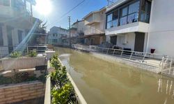 Selin etkilediği Foça’nın sokakları Venedik’e döndü