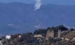 Seydikemer’de orman yangını