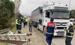 Seyir halindeki tırın açılan dorsesi PTS’ye çarptı