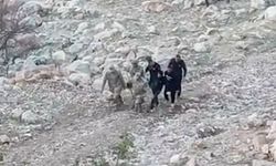 Siirt’te araç şarampole yuvarlandı: 1’i ağır 4 yaralı