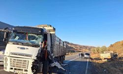 Siirt’te iki kamyon kafa kafaya çarpıştı: 1 yaralı