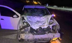 Siirt’te otomobilin çarptığı at telef oldu