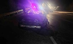 Sinop Belediye Başkanı’nın makam aracı domuz sürüsüne çarptı: Başkan kazayı yara almadan atlattı