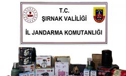 Şırnak’ta 14 milyon liralık kaçakçılığa 2 tutuklama