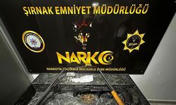 Şırnak’ta 4 milyon liralık kaçak ürün ve uyuşturucu ele geçirildi