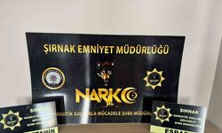 Şırnak’ta uyuşturucu operasyonu: 9 gözaltı