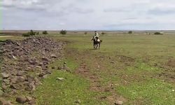 Siverek’te ilginç anlar kameraya yansıdı