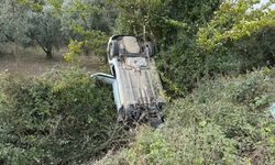 Bursa'da sollama yapmak istedi! Zeytinliğe uçtu