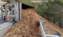 Tır devrildi, sürücü hafif yaralandı