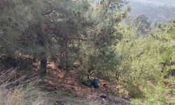 Uçurumdan yuvarlanan motosikletteki 2 kişi yaralandı