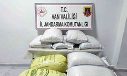 Van’da gümrük kaçakçılığı operasyonu