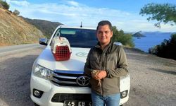 Yasadışı Kınalı Keklik satışına 28 bin TL ceza