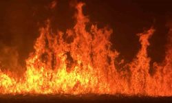 Yüksekova’da kuş cenneti Nehil Sazlığı’ndaki yangın yerleşim yerlerini tehdit ediyor