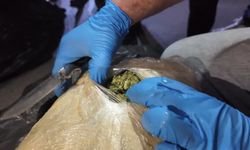 Yurtdışından gelen tırda 223 kilo uyuşturucu ele geçirildi: 1 tutuklama