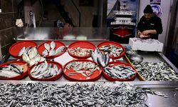 Tezgahlarda hamsi bereketi