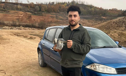 Bursa'da mahsur kalan mavi balıkçıl kuşunu gençler kurtardı