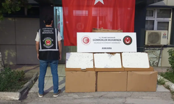Kaçakçılığa darbe: Değeri 274 milyon TL