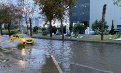 İzmir ve Muğla'yı sağanak vurdu! Denizin rengi değişti