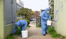 Bursa'da kemirgenlere yönelik mücadele